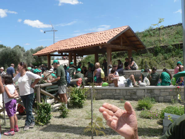 Cam.Molise 2010 (331)