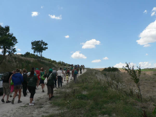Cam.Molise 2010 (341)