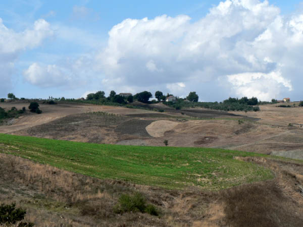 Cam.Molise 2010 (343)