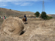 Cam.Molise 2010 (296)