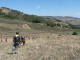 Cam.Molise 2010 (299)