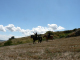 Cam.Molise 2010 (302)