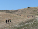 Cam.Molise 2010 (306)