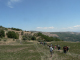 Cam.Molise 2010 (310)