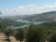 Cam.Molise 2010 (313)