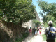 Cam.Molise 2010 (316)