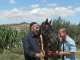 Cam.Molise 2010 (325)