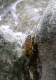 Cam.Molise 2010 (328)