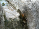 Cam.Molise 2010 (329)