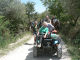 Cam.Molise 2010 (347)