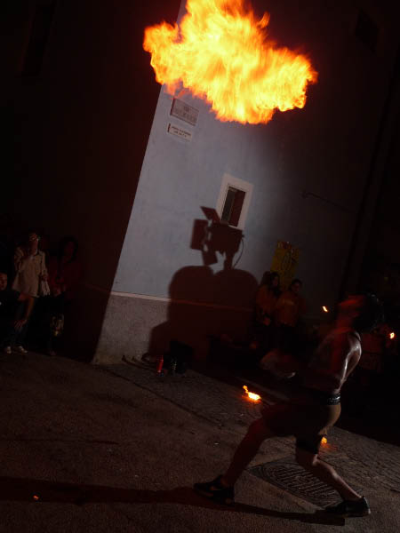 P1030210