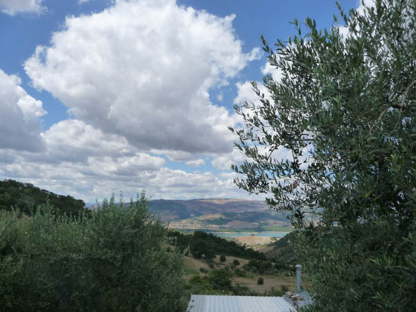 P1030246