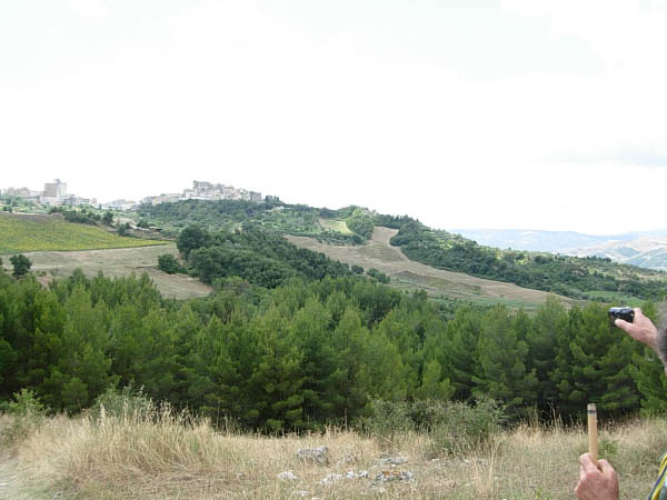 DSCN9190
