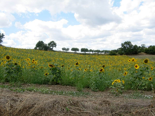 DSCN9191
