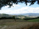 DSCN9187