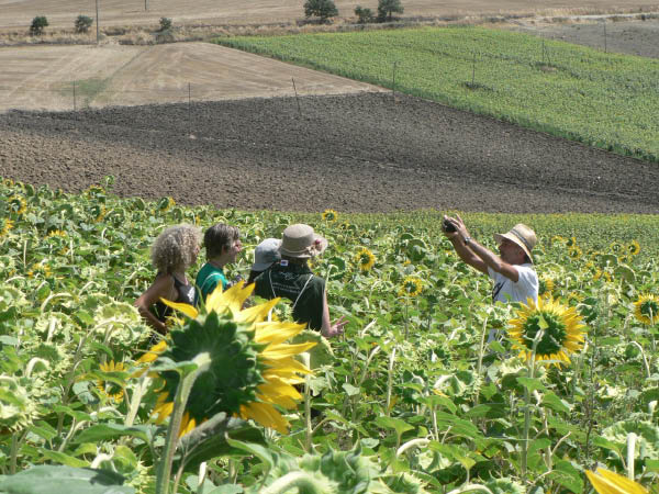 Cam.Molise 2010 (421)