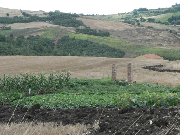 Cam.Molise 2010 (443)