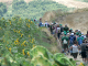 Cam.Molise 2010 (417)