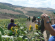 Cam.Molise 2010 (420)
