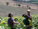 Cam.Molise 2010 (423)