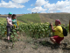 Cam.Molise 2010 (428)