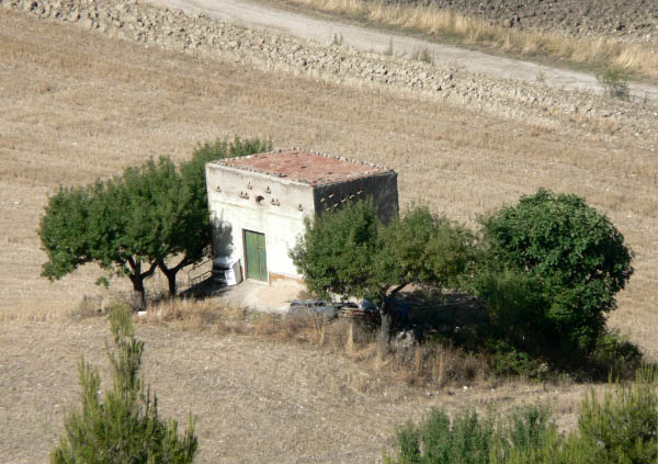 Cam.Molise 2010 (403)