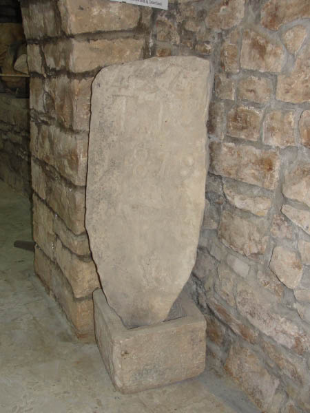 DSC01136