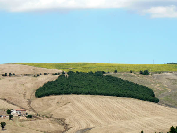 Cam.Molise 2010 (458)