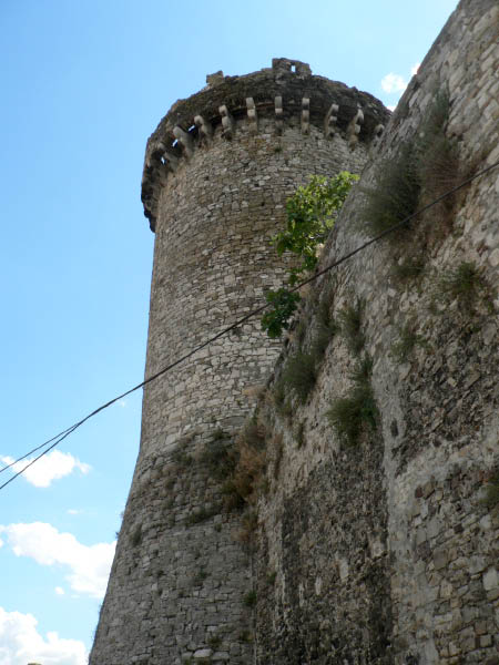 Cam.Molise 2010 (459)