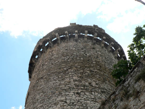 Cam.Molise 2010 (460)