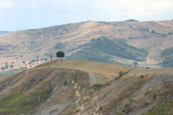 IMG_8057