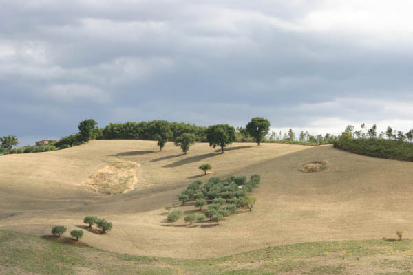 IMG_8062
