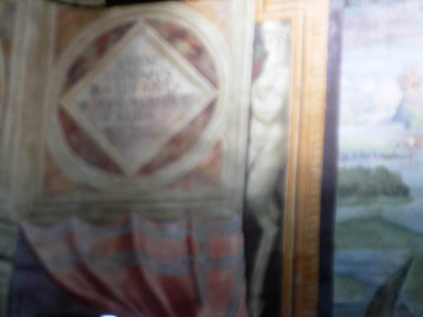 DSCN9244