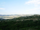 DSCN9220