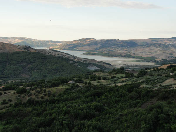 DSC01179