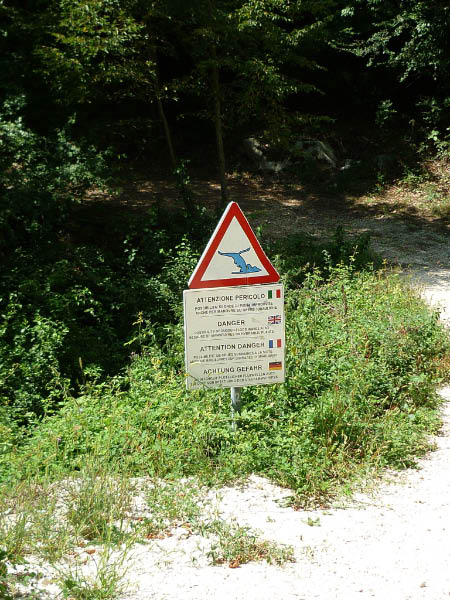 P1000429