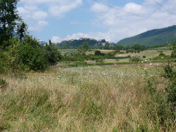 P1000441