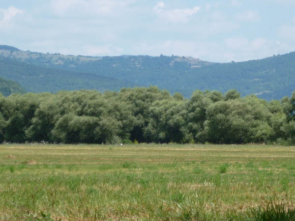 P1000442
