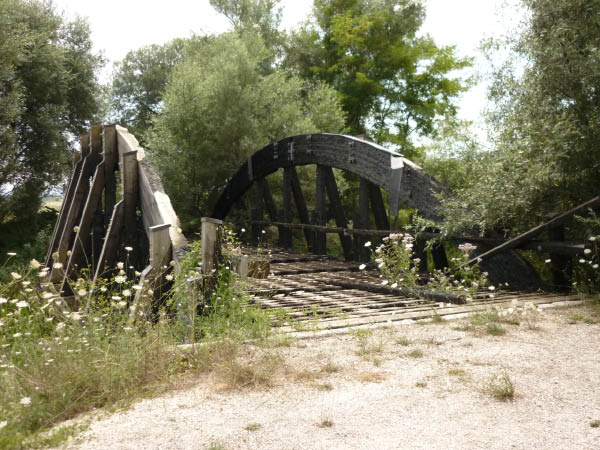 P1000447
