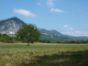 P1000443