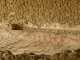 P1000449