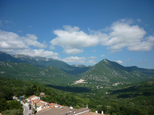 P1000417