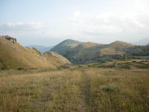P1000488