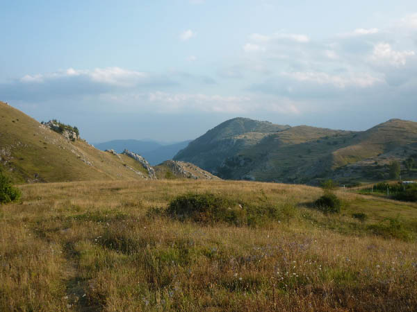 P1000495
