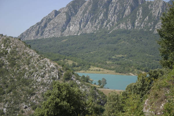 CM 2009 012