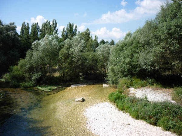 P1000537