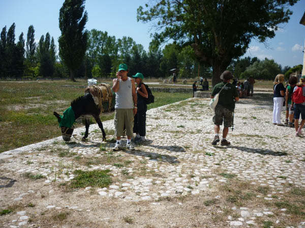 P1000540