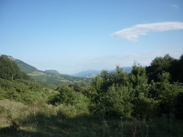 P1000586