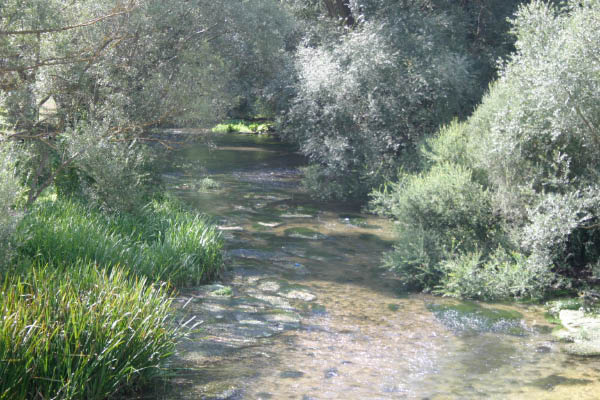 CM 2009 128