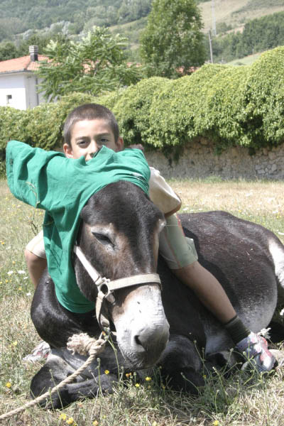CM 2009 134